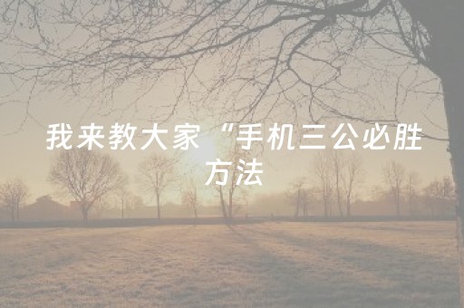 我来教大家“手机三公必胜方法（专用辅牌神器免安装）