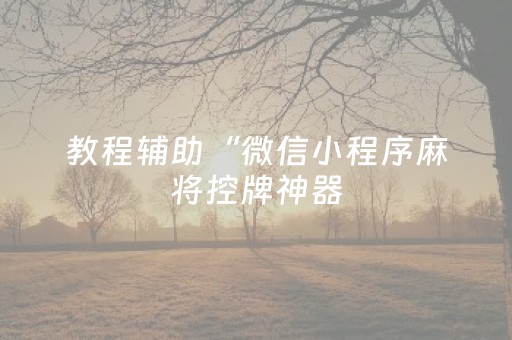教程辅助“微信小程序麻将控牌神器（助赢神器通用版）