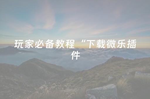 玩家必备教程“下载微乐插件（专用辅牌神器免安装）