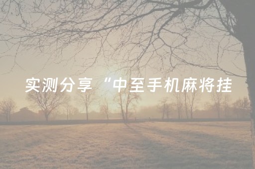 实测分享“中至手机麻将挂（专用辅牌神器免安装）