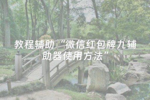 教程辅助“微信红包牌九辅助器使用方法”（详细透视教程）-哔哩哔哩