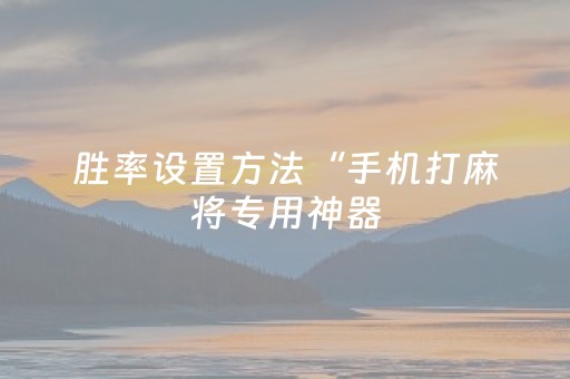 胜率设置方法“手机打麻将专用神器（专用辅牌神器免安装）