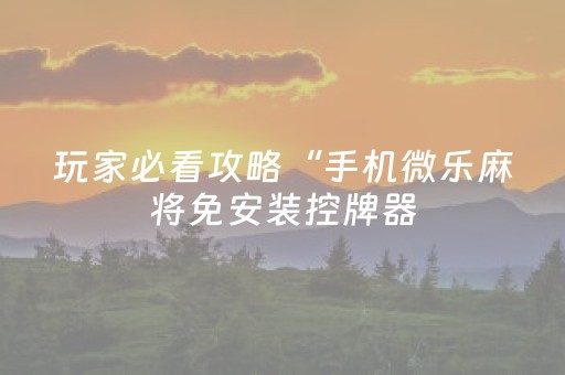 玩家必看攻略“手机微乐麻将免安装控牌器（助赢神器通用版）