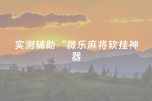 实测辅助“微乐麻将软挂神器（专用辅牌神器免安装）