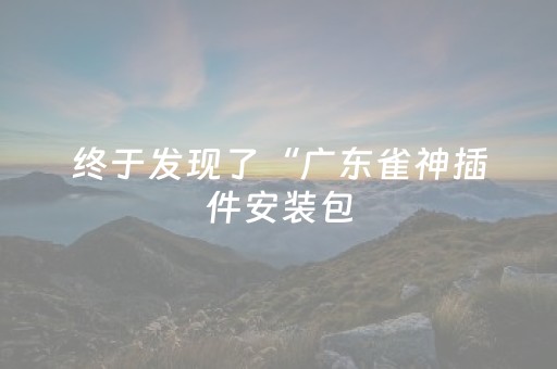 终于发现了“广东雀神插件安装包（专用辅牌神器免安装）