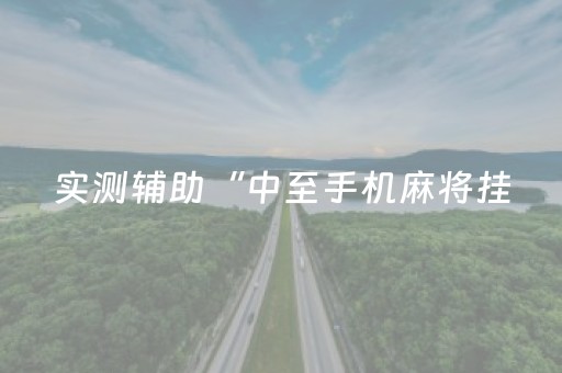 实测辅助“中至手机麻将挂（助赢神器通用版）