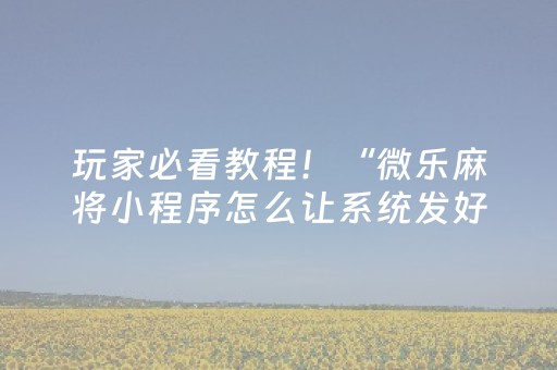 玩家必看教程！“微乐麻将小程序怎么让系统发好牌”（详细透视教程）-哔哩哔哩