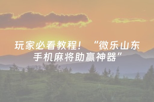 玩家必看教程！“微乐山东手机麻将助赢神器”（详细开挂教程）-哔哩哔哩