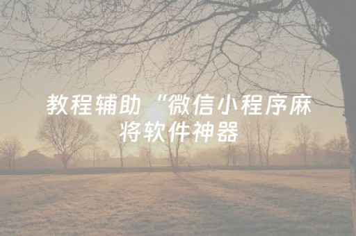 教程辅助“微信小程序麻将软件神器（专用辅牌神器免安装）