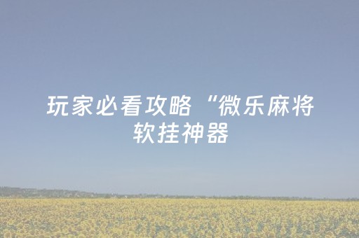 玩家必看攻略“微乐麻将软挂神器（助赢神器通用版）