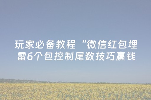 玩家必备教程“微信红包埋雷6个包控制尾数技巧赢钱神器”（详细透视教程）-哔哩哔哩