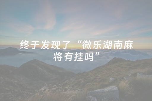 终于发现了“微乐湖南麻将有挂吗”（详细透视教程）-哔哩哔哩