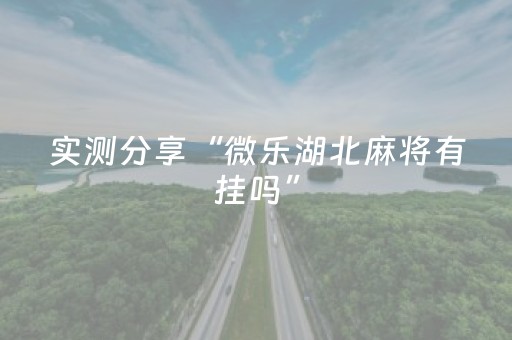实测分享“微乐湖北麻将有挂吗”（详细透视教程）-哔哩哔哩
