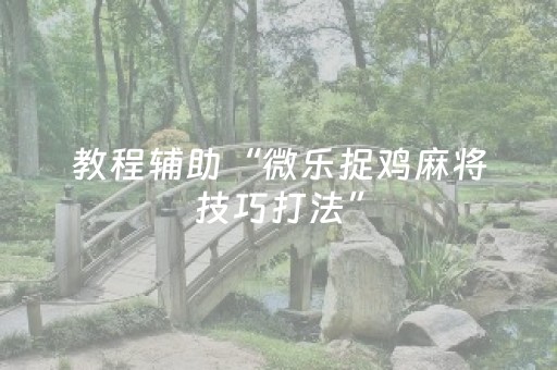 教程辅助“微乐捉鸡麻将技巧打法”（详细透视教程）-哔哩哔哩
