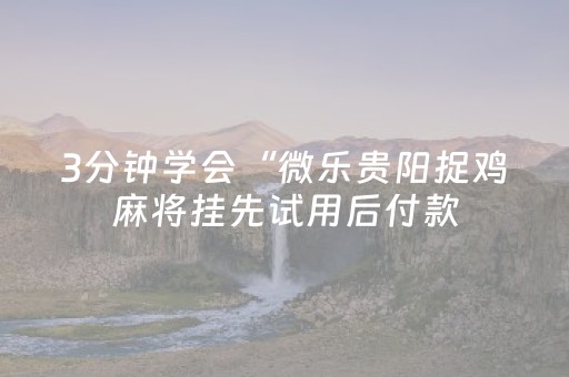3分钟学会“微乐贵阳捉鸡麻将挂先试用后付款（助赢神器通用版）