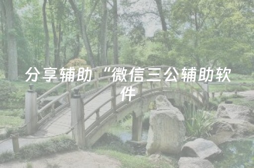 分享辅助“微信三公辅助软件（助赢神器通用版）