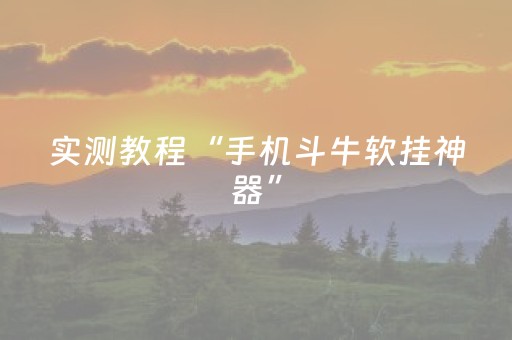 实测教程“手机斗牛软挂神器”（详细透视教程）-哔哩哔哩