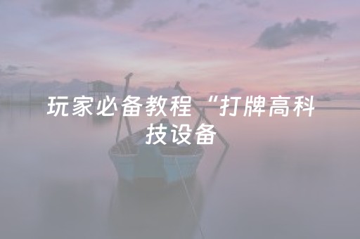 玩家必备教程“打牌高科技设备（专用辅牌神器免安装）