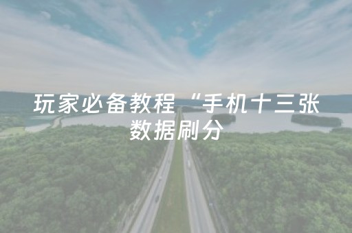 玩家必备教程“手机十三张数据刷分（助赢神器通用版）