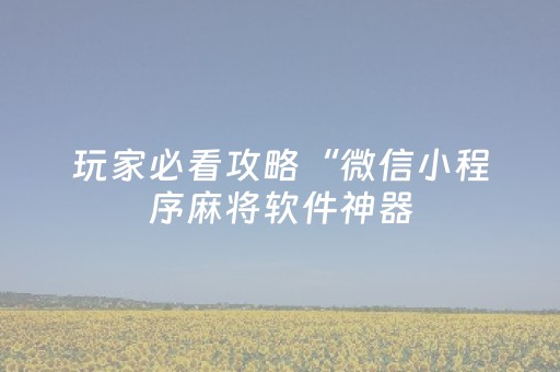 玩家必看攻略“微信小程序麻将软件神器（专用辅牌神器免安装）
