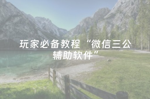 玩家必备教程“微信三公辅助软件”（详细透视教程）-哔哩哔哩
