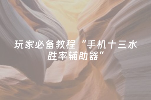 玩家必备教程“手机十三水胜率辅助器”（详细透视教程）-哔哩哔哩