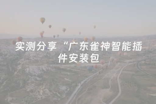 实测分享“广东雀神智能插件安装包（助赢神器通用版）
