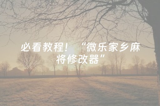 必看教程！“微乐家乡麻将修改器”（详细辅助教程）-哔哩哔哩