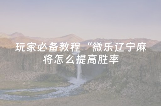 玩家必备教程“微乐辽宁麻将怎么提高胜率（专用辅牌神器免安装）