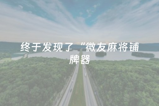 终于发现了“微友麻将铺牌器（专用辅牌神器免安装）
