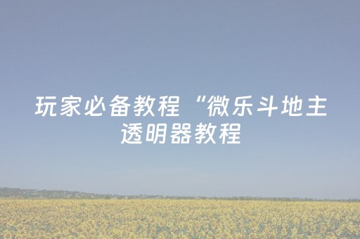 玩家必备教程“微乐斗地主透明器教程（助赢神器通用版）