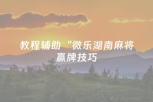 教程辅助“微乐湖南麻将赢牌技巧（助赢神器通用版）