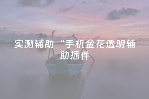 实测辅助“手机金花透明辅助插件（专用辅牌神器免安装）