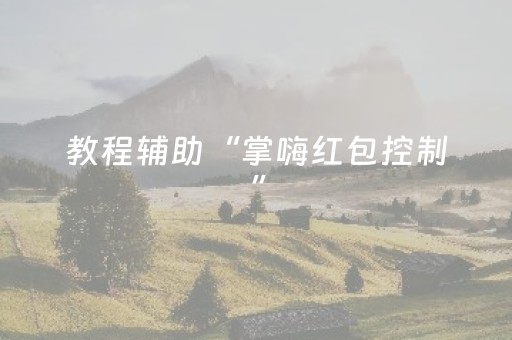 教程辅助“掌嗨红包控制”（详细透视教程）-哔哩哔哩