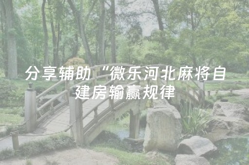 分享辅助“微乐河北麻将自建房输赢规律（专用辅牌神器免安装）