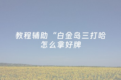 教程辅助“白金岛三打哈怎么拿好牌（助赢神器通用版）