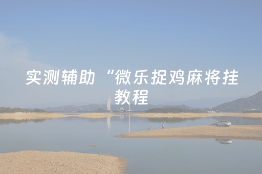 实测辅助“微乐捉鸡麻将挂教程（专用辅牌神器免安装）