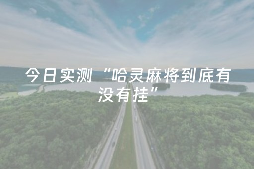 今日实测“哈灵麻将到底有没有挂”（详细透视教程）-哔哩哔哩