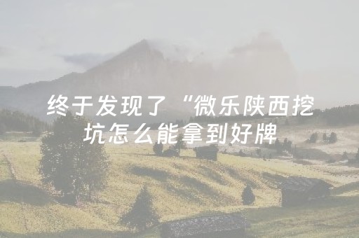 终于发现了“微乐陕西挖坑怎么能拿到好牌（专用辅牌神器免安装）