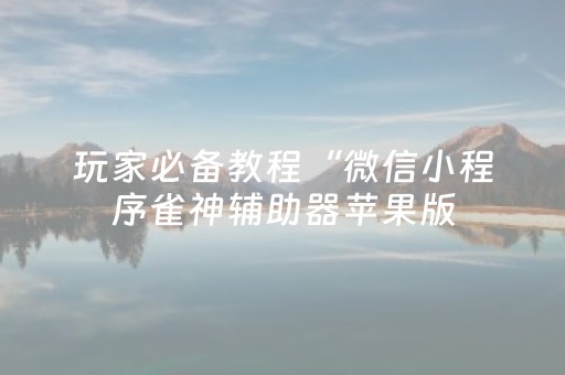 玩家必备教程“微信小程序雀神辅助器苹果版（助赢神器通用版）