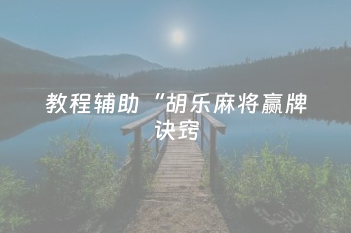 教程辅助“胡乐麻将赢牌诀窍（助赢神器通用版）