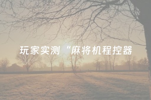 玩家实测“麻将机程控器（助赢神器通用版）