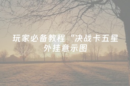 玩家必备教程“决战卡五星外挂意示图（助赢神器通用版）