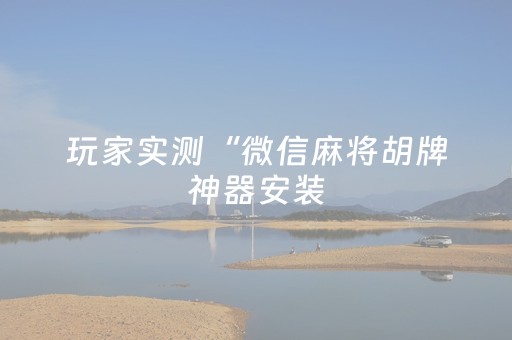 玩家实测“微信麻将胡牌神器安装（助赢神器通用版）