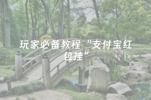 玩家必备教程“支付宝红包挂”（详细透视教程）-哔哩哔哩