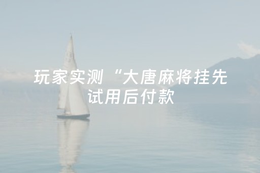 玩家实测“大唐麻将挂先试用后付款（助赢神器通用版）