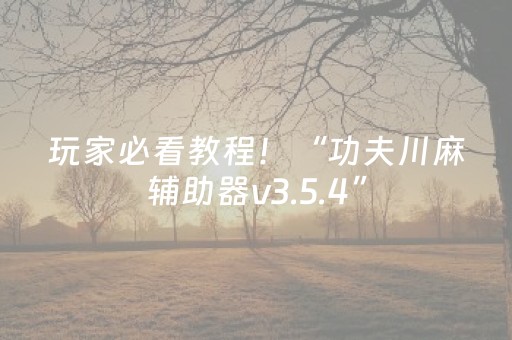 玩家必看教程！“功夫川麻辅助器v3.5.4”（详细辅助教程）-哔哩哔哩