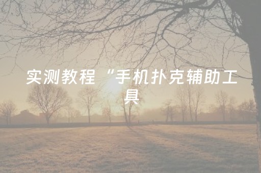 实测教程“手机扑克辅助工具（助赢神器通用版）
