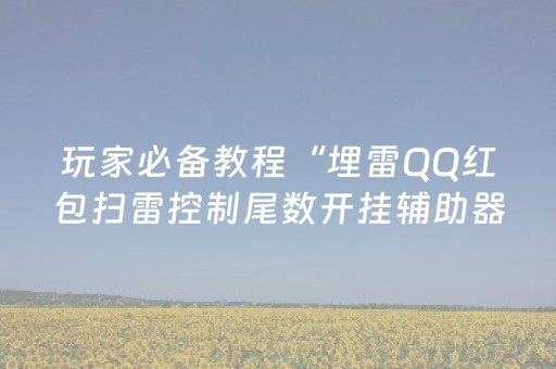 玩家必备教程“埋雷QQ红包扫雷控制尾数开挂辅助器”（详细透视教程）-哔哩哔哩