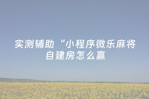 实测辅助“微乐卡五星秘籍挂件神器（专用辅牌神器免安装）
